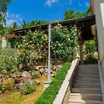 House - Old Olive *