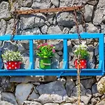 House - Old Olive Porozina