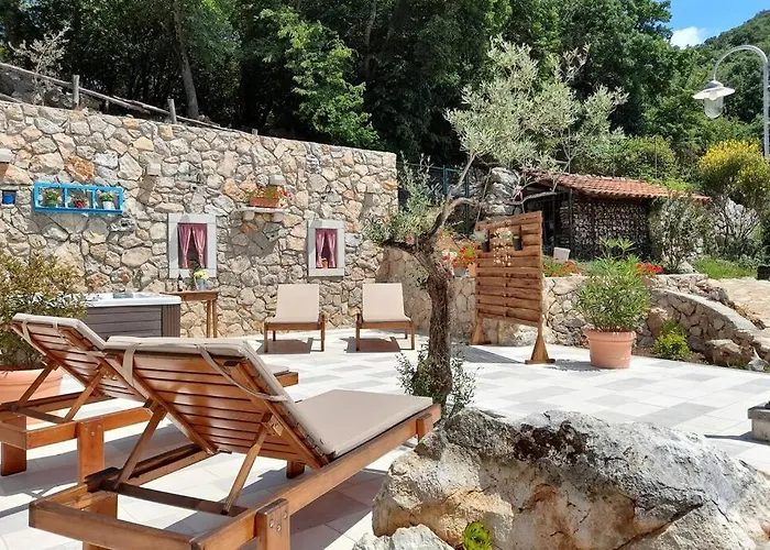 House - Old Olive *