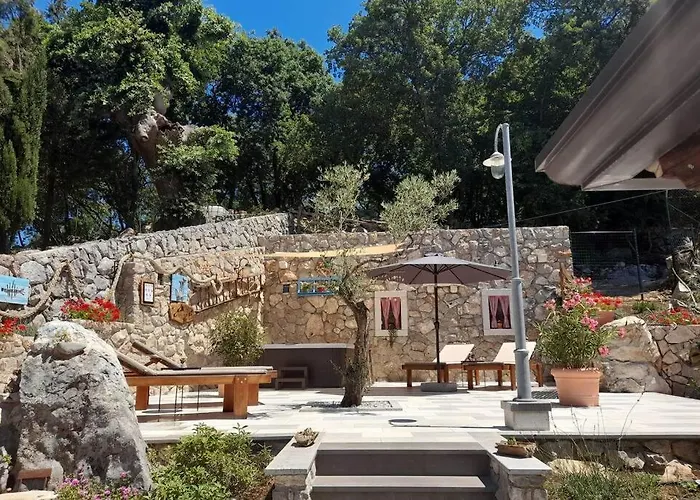 Hébergement de vacances House - Old Olive *