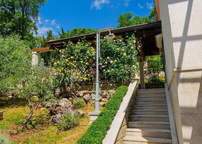 House - Old Olive *