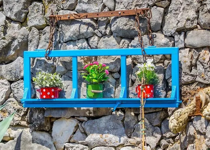 House - Old Olive Porozina