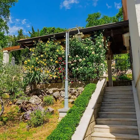 House - Old Olive *