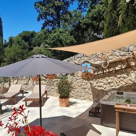Dom wakacyjny House - Old Olive