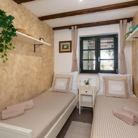 House - Old Olive *