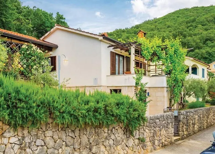 House - Old Olive 度假居 Porozina