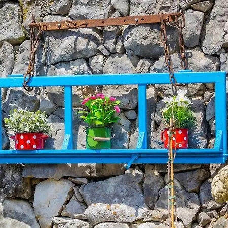 House - Old Olive Porozina